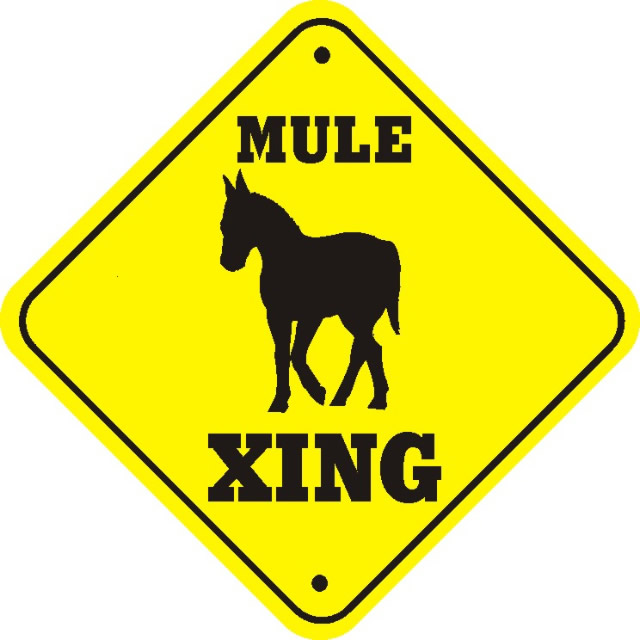 mulecrossing.jpg